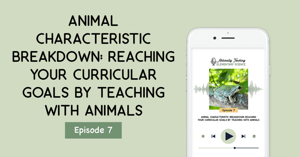 Animal Characteristic Breakdown: Teaching with Animals