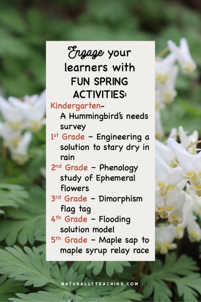 Fun spring activities can help engage your students and provide experiences that deepen understanding of the phenomena.