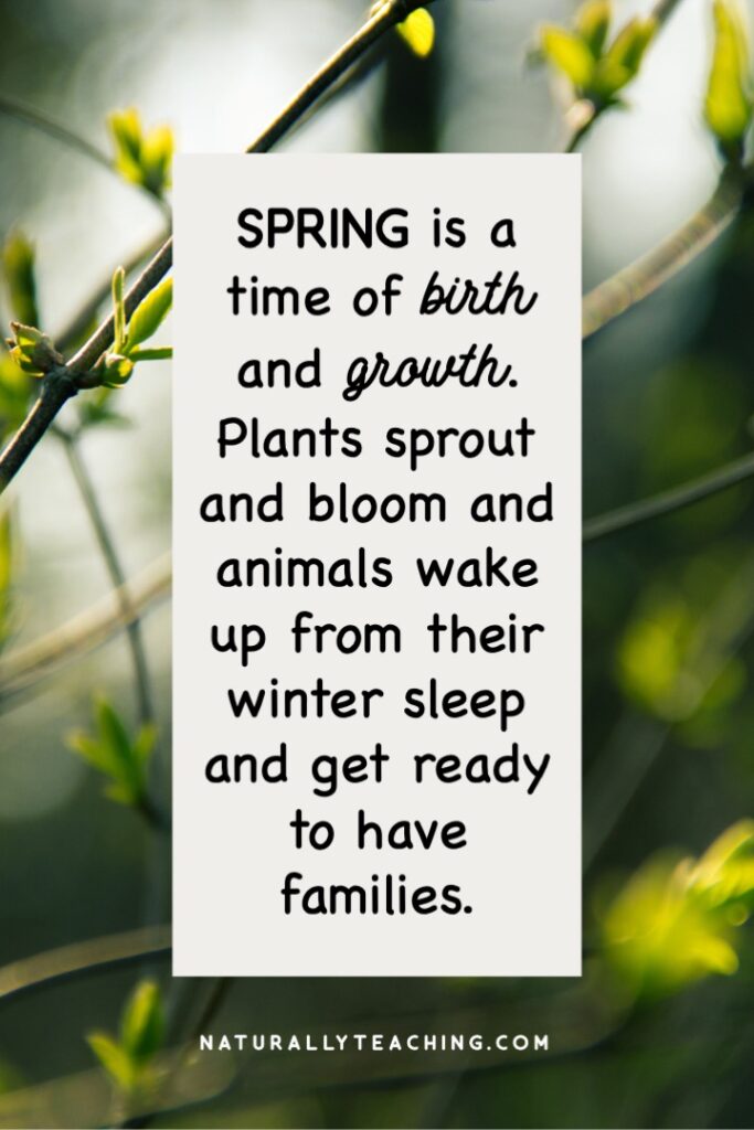 Spring is a time for tree buds, flower blooms, migrating animals, and animals waking up from their winter sleep.