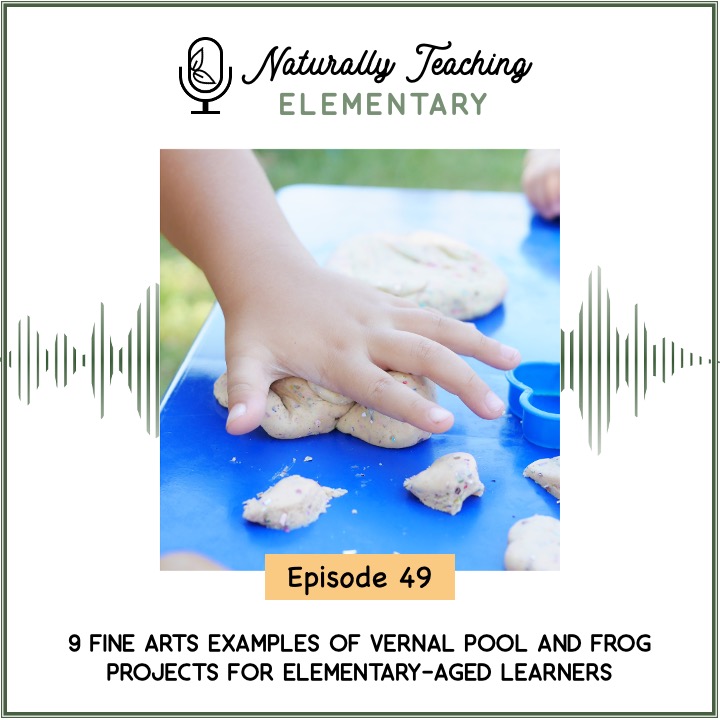 9 Fine Arts Examples of Vernal Pool and Frog Projects for Elementary-Aged Learners [Ep. 49]