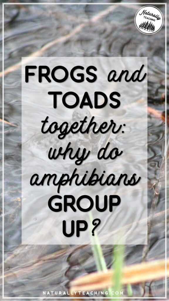 Read about frogs and toads together and how grouping can lead to a better chance at survival