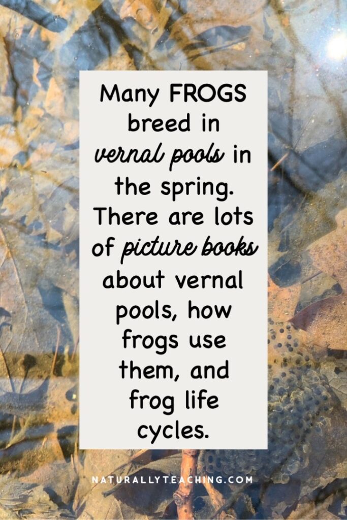 Frog eggs, as pictured, are a result of frogs breeding in the spring in vernal pools. There are lots of frog books to share this phenomena with your learners.