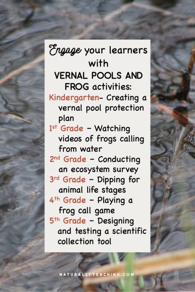 Vernal pools and frog activities can help engage your students and provide experiences that deepen understanding of the phenomena.
