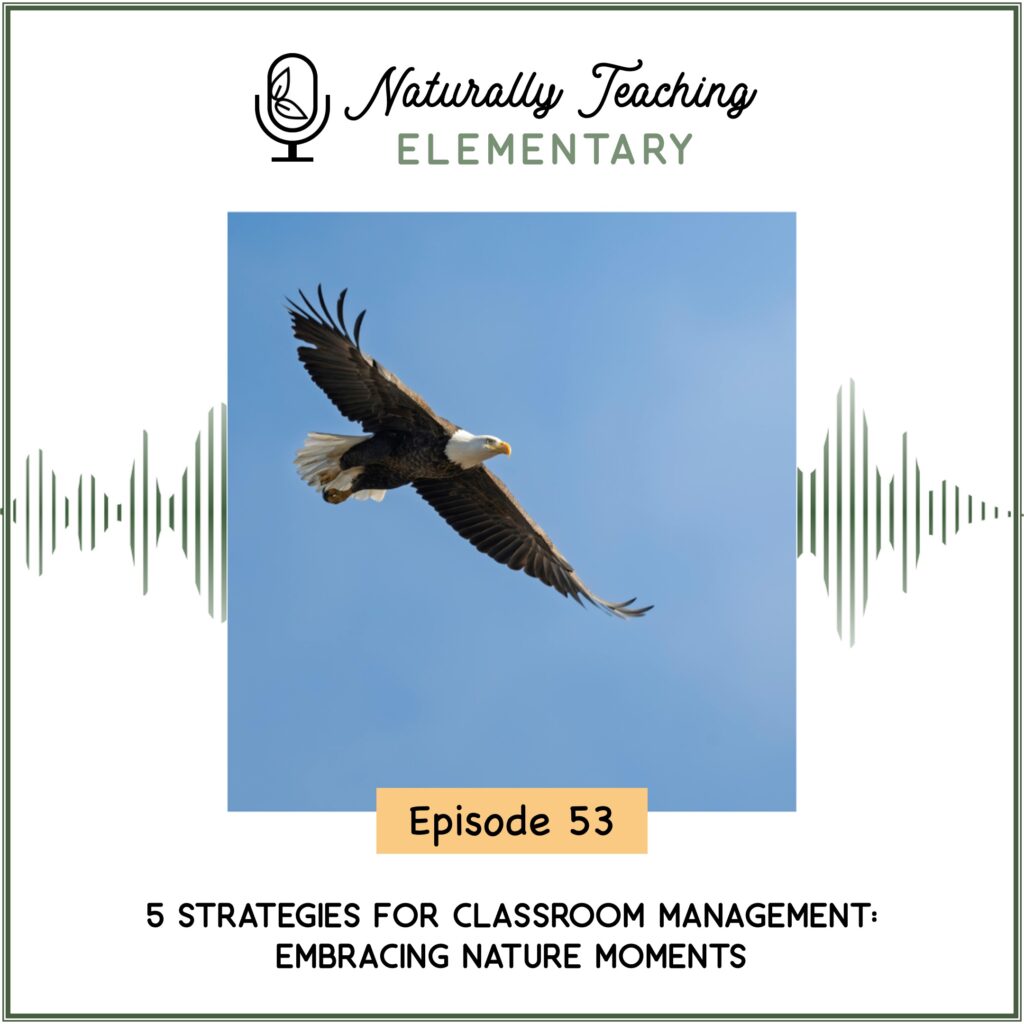 Ep. 53: 5 Strategies for Classroom Management: Embracing Nature Moments