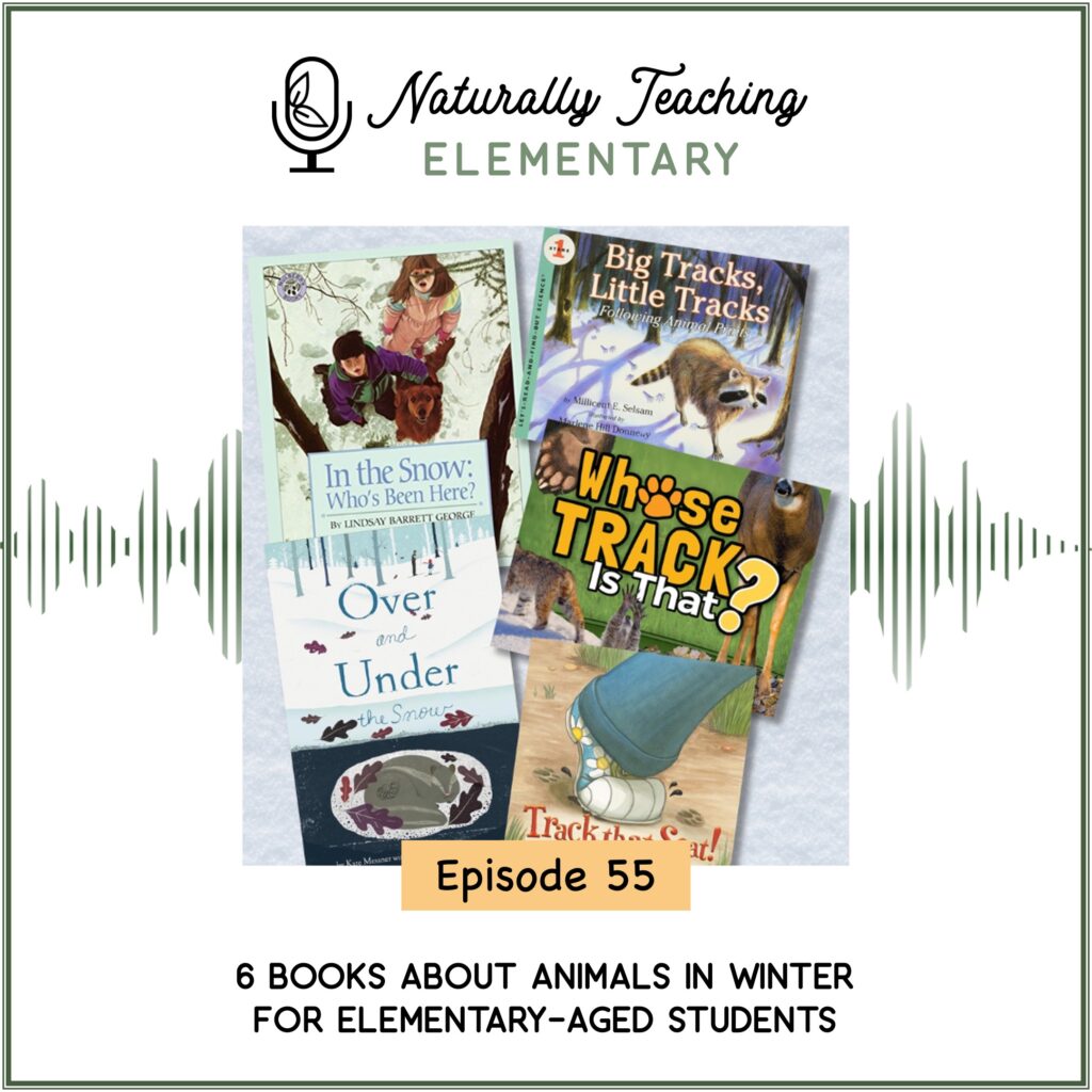 Ep. 55: 6 Books About Animals in Winter for Elementary-Aged Students