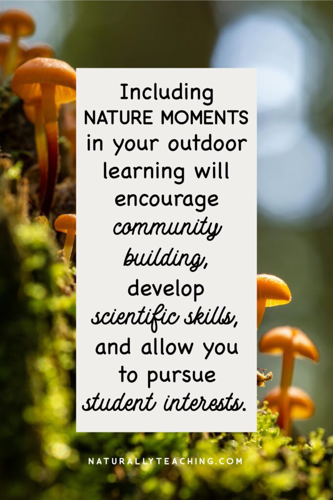 Nature can be very exciting and interesting to your students, including surprises like these mushrooms.