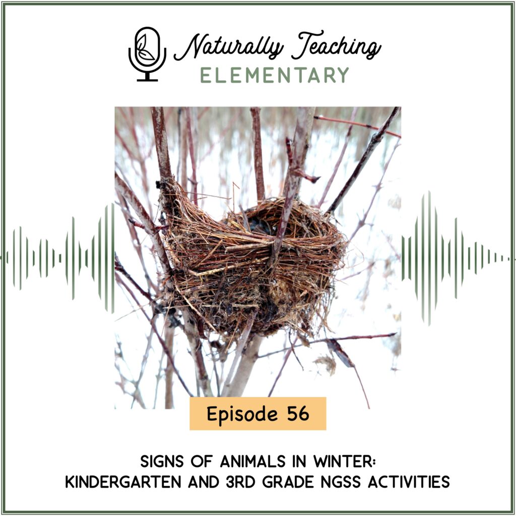 Ep. 56: Signs of Animals in Winter: Kindergarten and 3rd Grade NGSS Activities