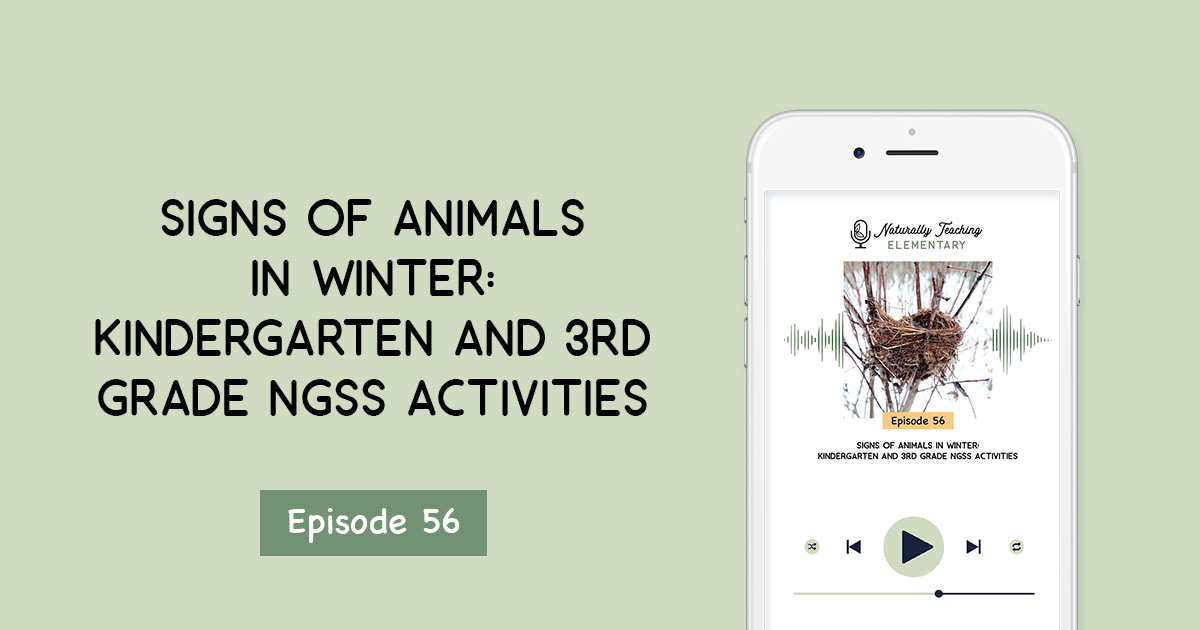 Signs of Animals in Winter: Kindergarten and 3rd Grade NGSS Activities [Ep.56]