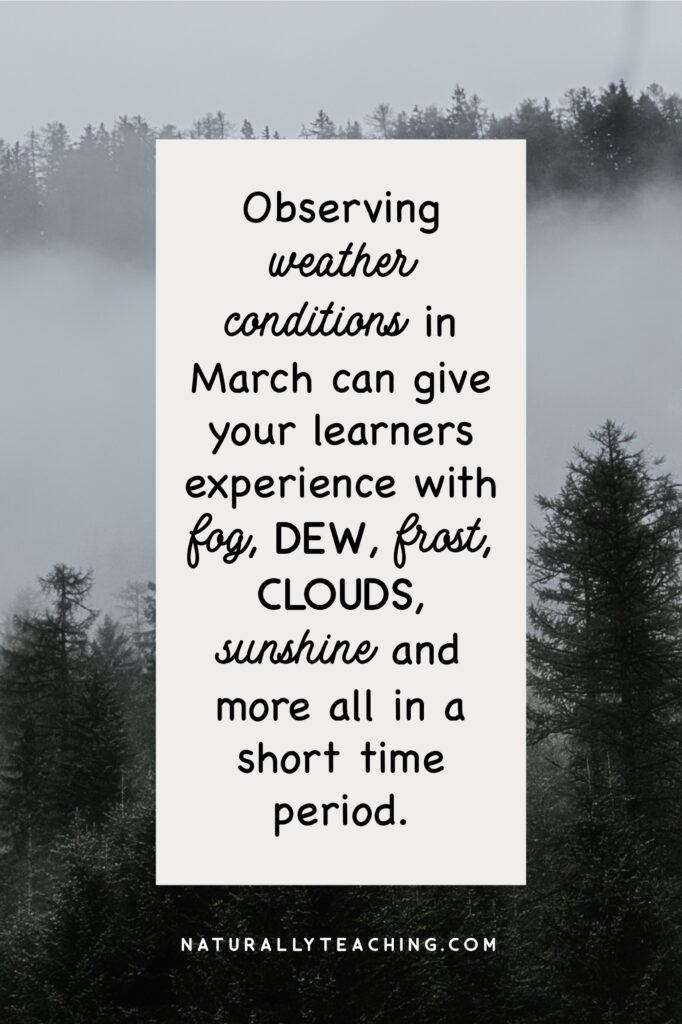 Fog, dew, frost, clouds, sunshine, and snow are all weather conditions that can be experienced in March.