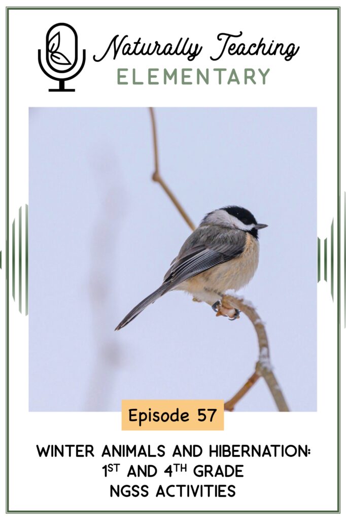 Ep. 57: Winter Animals and Hibernation: 1st and 4th Grade Activities