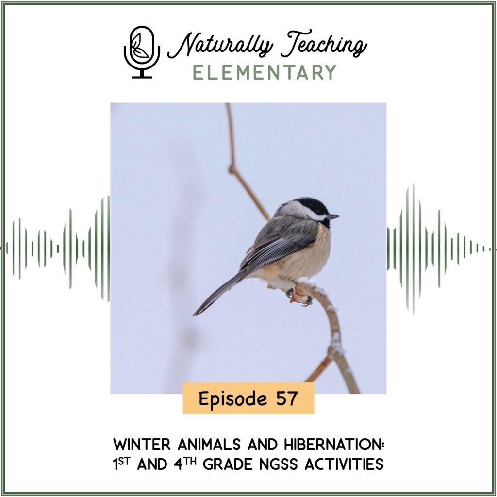 Ep. 57: Winter Animals and Hibernation: 1st and 4th Grade Activities