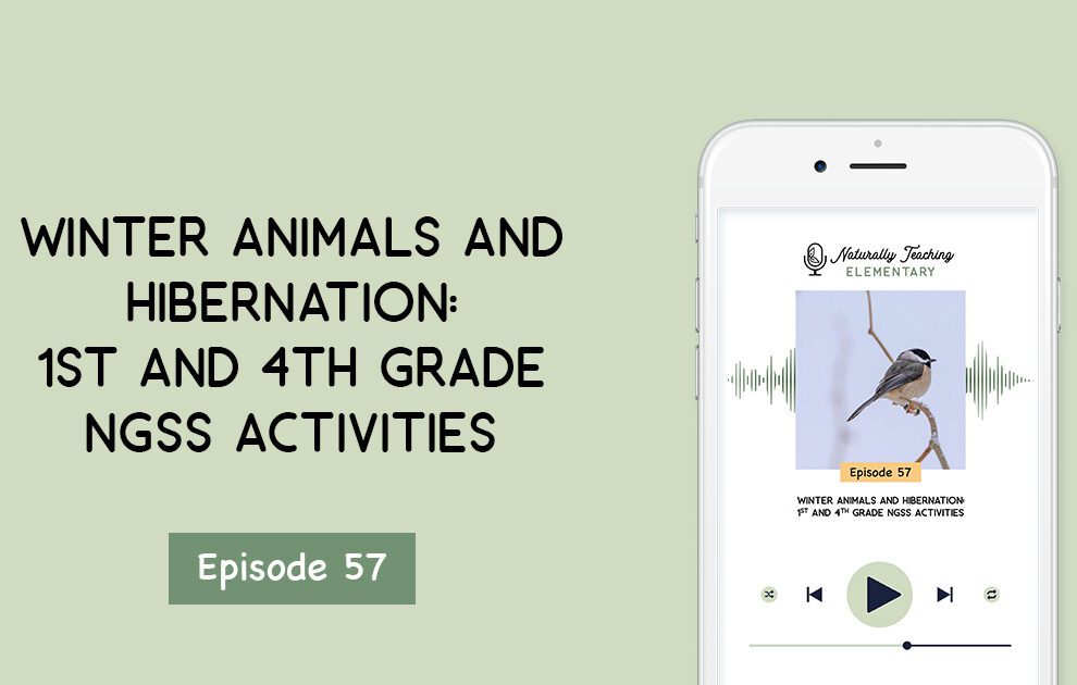 Ep. 57: Winter Animals and Hibernation: 1st and 4th Grade Activities