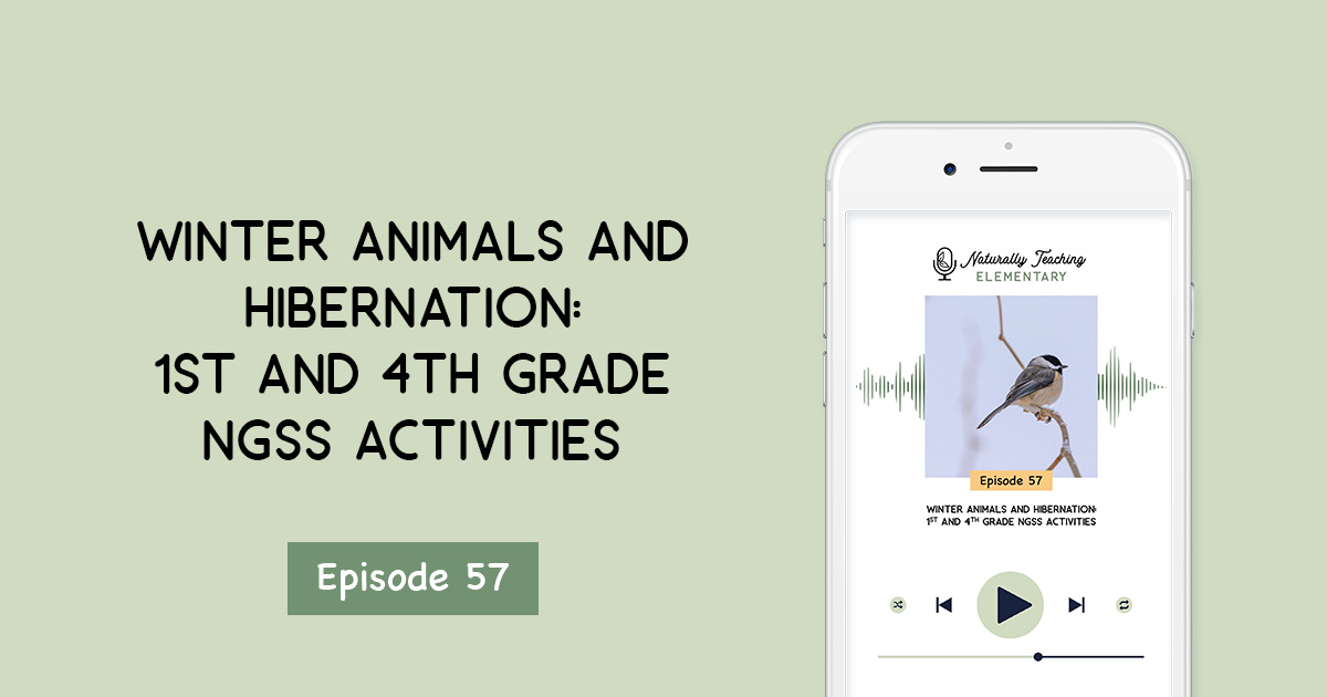 Winter Animals and Hibernation: 1st and 4th Grade NGSS Activities [Ep. 57]