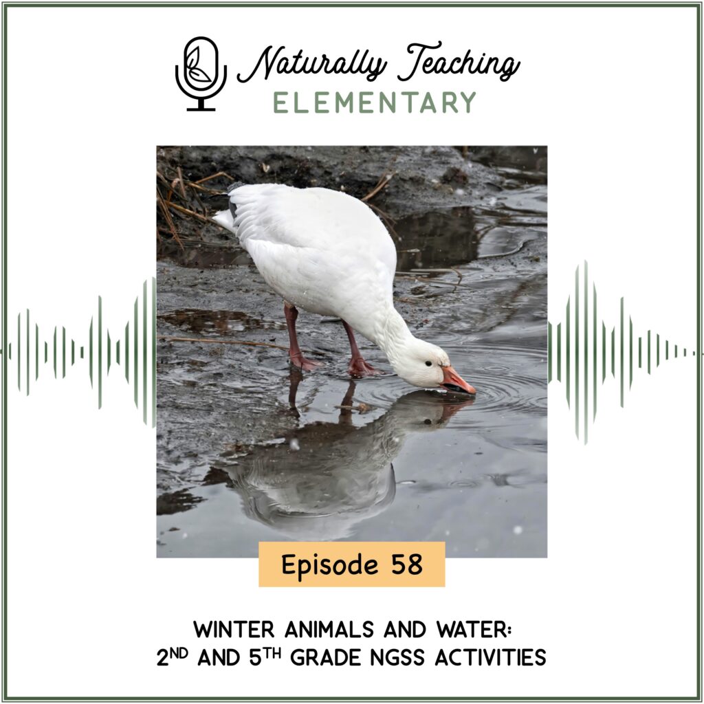 Ep. 58: Winter Animals and Water: 2nd and 5th Grade NGSS Activities