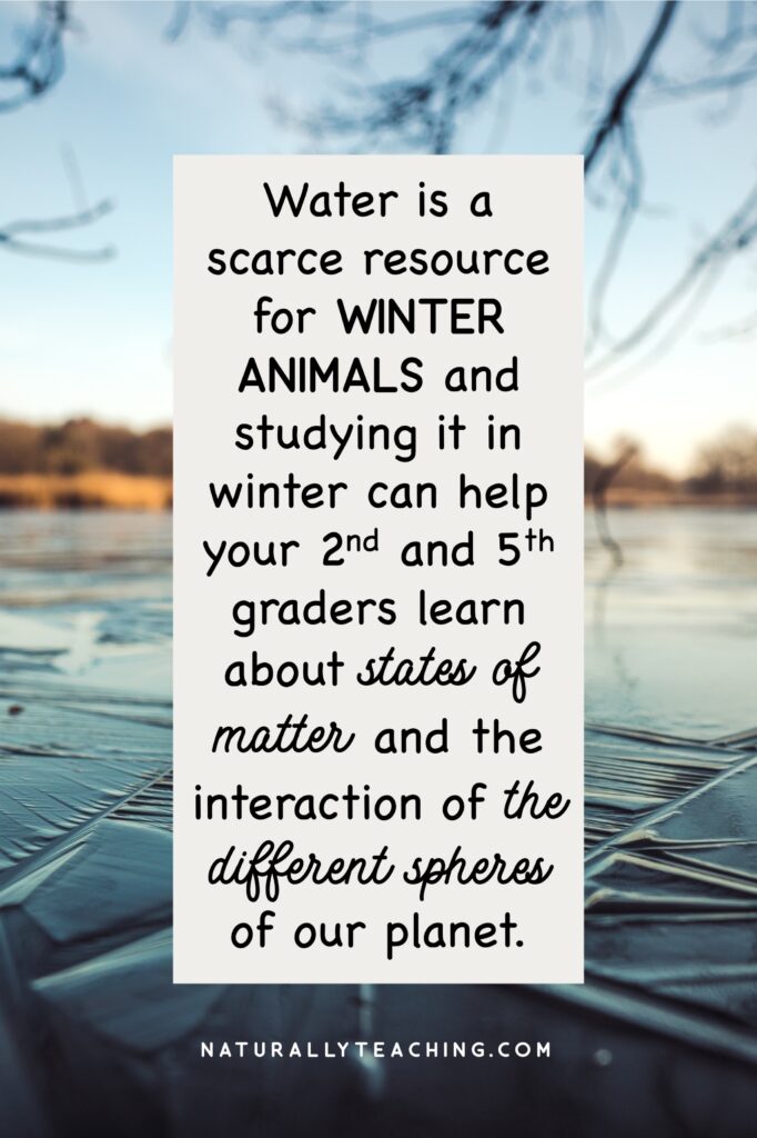 Fresh water being locked up in snow and ice in the winter makes it difficult for animals to meet their survival needs.