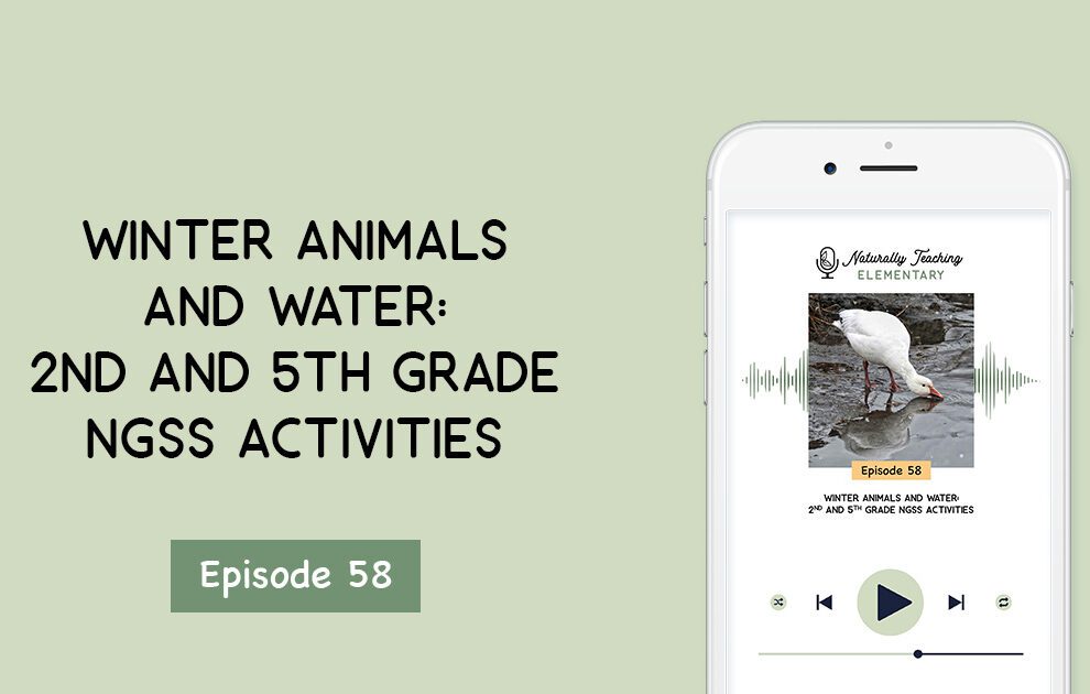 Ep. 58: Winter Animals and Water: 2nd and 5th Grade NGSS Activities