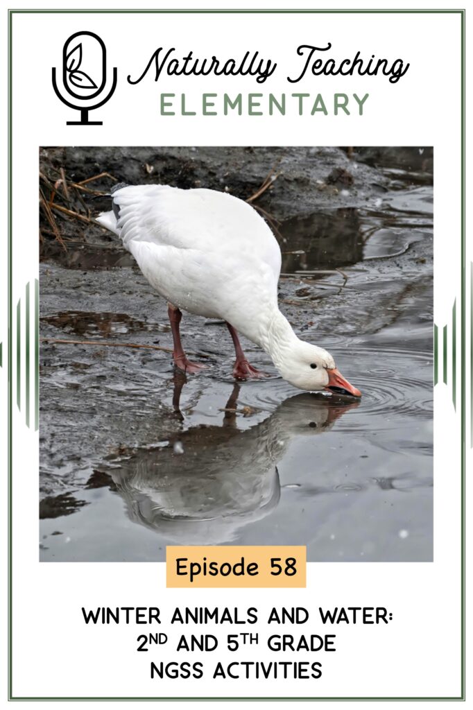 Ep. 58: Winter Animals and Water: 2nd and 5th Grade NGSS Activities