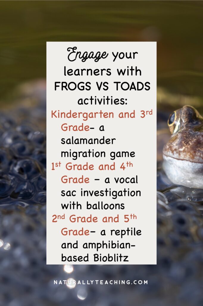 Spring is a time for frogs vs toads to use vernal pools to lay their eggs, just like in this picture.