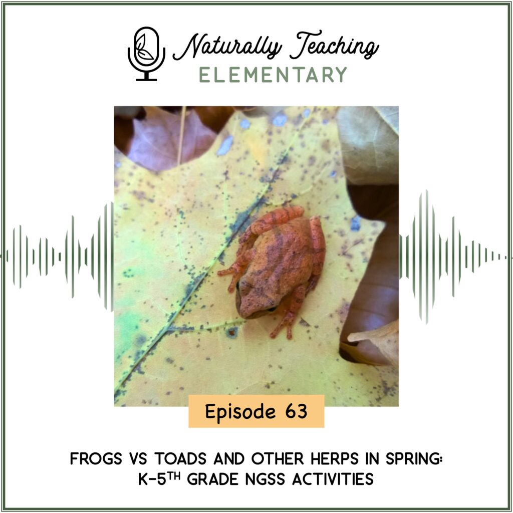 Ep. 63: Frogs vs Toads and Other Herps in Spring: K-5th Grade NGSS Activities