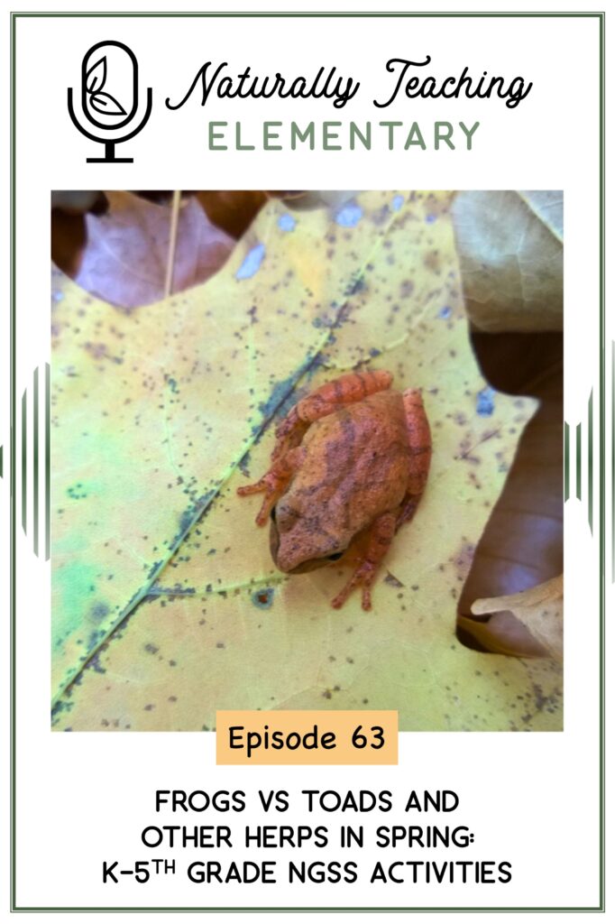 Ep. 63: Frogs vs Toads and Other Herps in Spring: K-5th Grade NGSS Activities