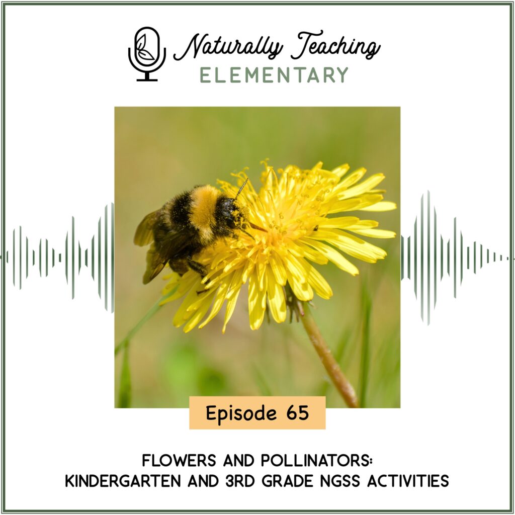 Ep. 65: Flowers and Pollinators: Kindergarten and 3rd Grade Activities