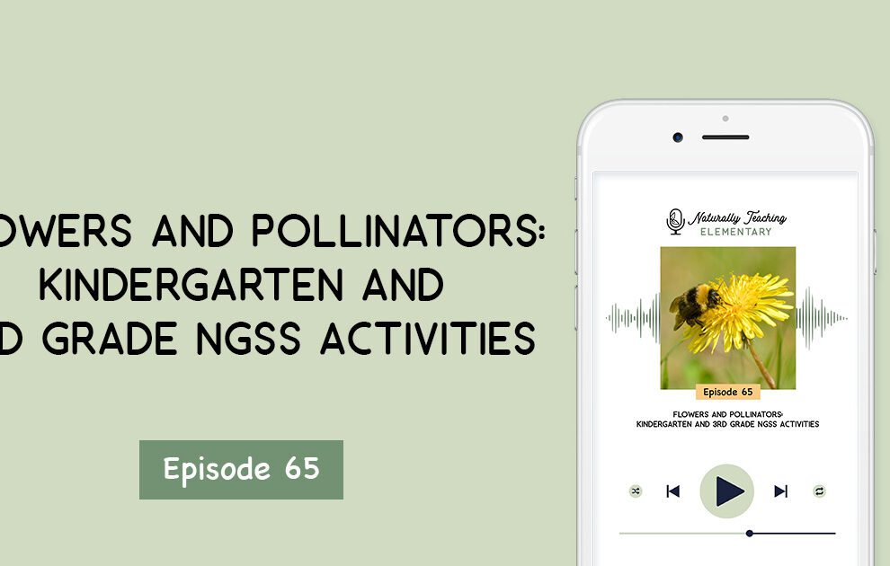 Ep. 65: Flowers and Pollinators: Kindergarten and 3rd Grade Activities