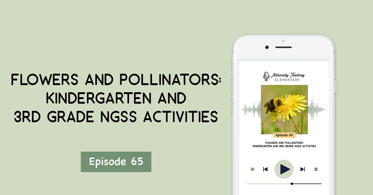 Flowers and Pollinators: Kindergarten and 3rd Grade NGSS Activities [Ep. 65]