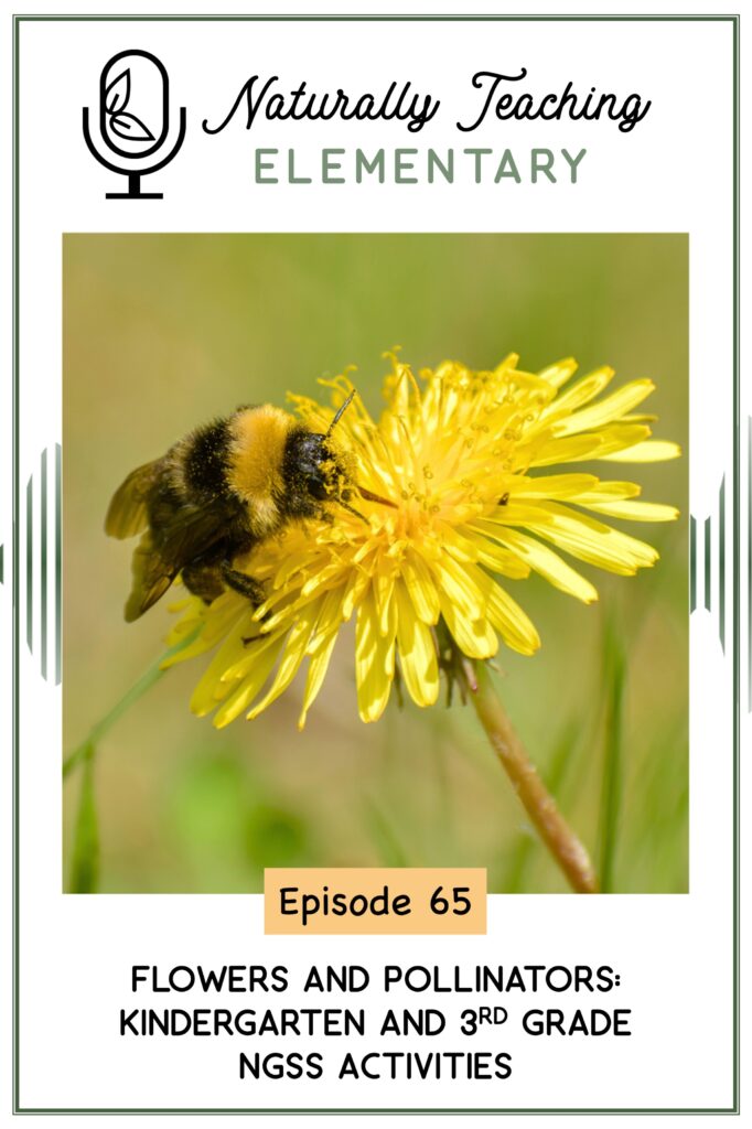 Ep. 65: Flowers and Pollinators: Kindergarten and 3rd Grade Activities