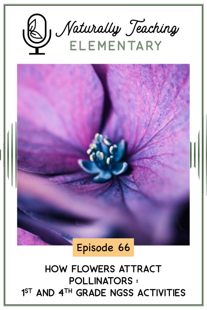 Ep. 66: How Flowers Attract Pollinators: 1st and 4th Grade NGSS Activities
