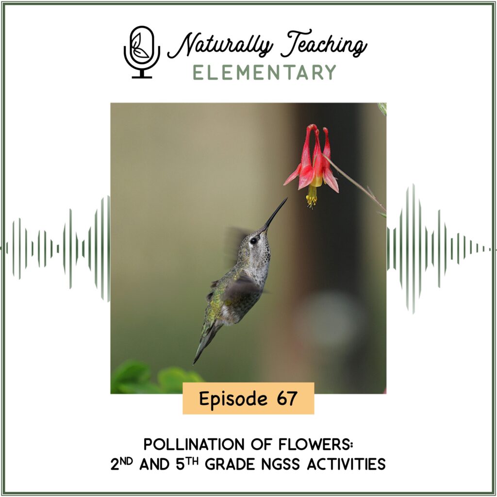 Ep. 67: Pollination of Flowers: 2nd and 5th Grade NGSS Activities