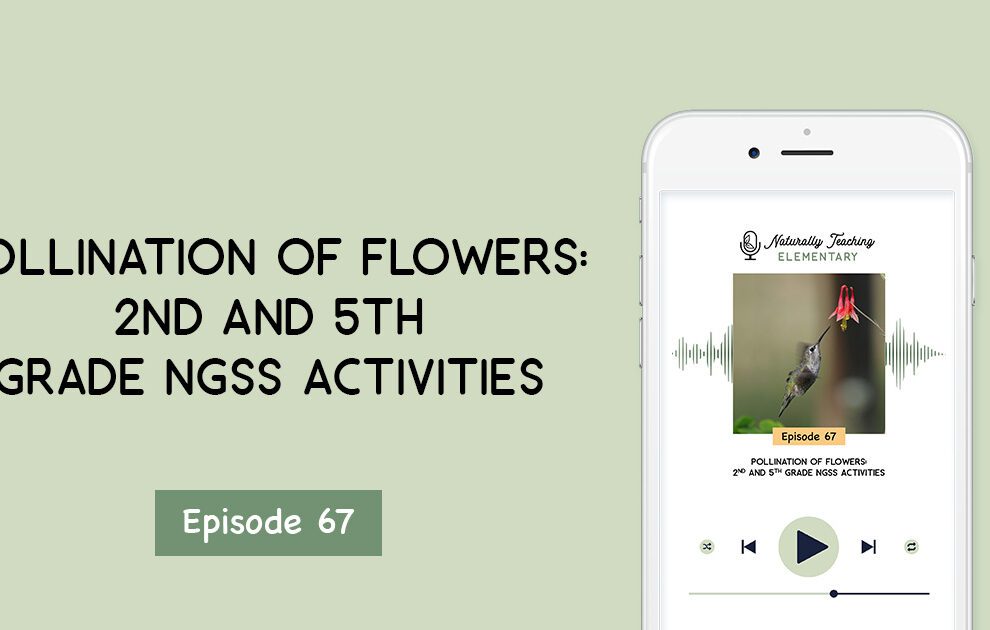 Ep. 67: Pollination of Flowers: 2nd and 5th Grade NGSS Activities