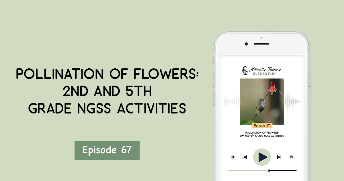 Pollination of Flowers: 2nd and 5th Grade NGSS Activities [Ep. 67]