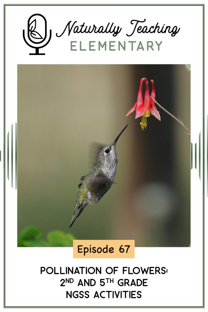 Ep. 67: Pollination of Flowers: 2nd and 5th Grade NGSS Activities