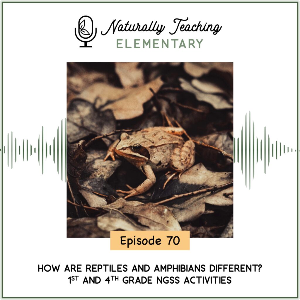 Ep. 70: How are reptiles and amphibians different? 1st and 4th grade NGSS activities