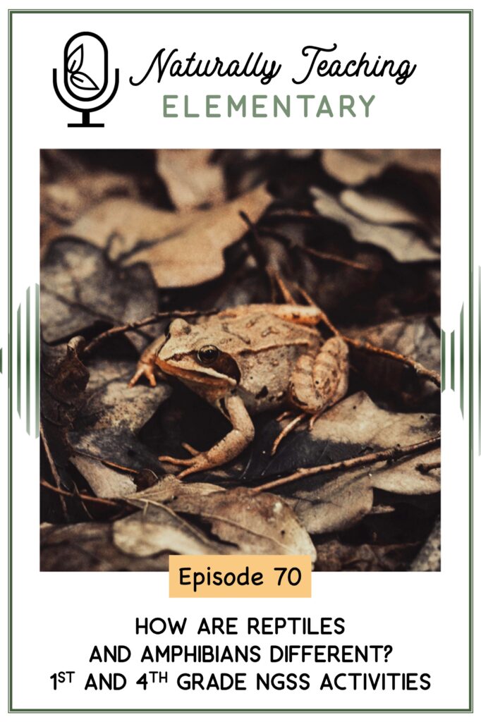 Ep. 70: How are reptiles and amphibians different? 1st and 4th grade NGSS activities