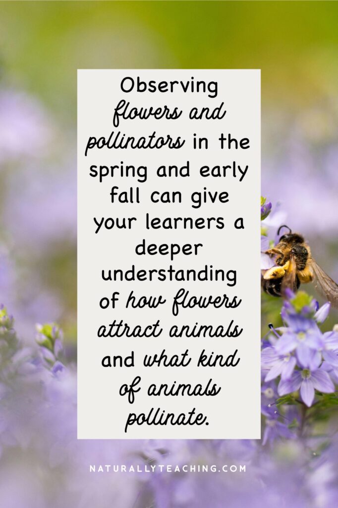 Flower books can help your learners get background information about pollination before you take them outside to see it first-hand.