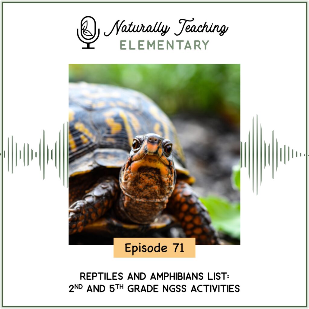 Ep. 71: Reptiles and Amphibians List: 2nd and 5th Grade NGSS Activities