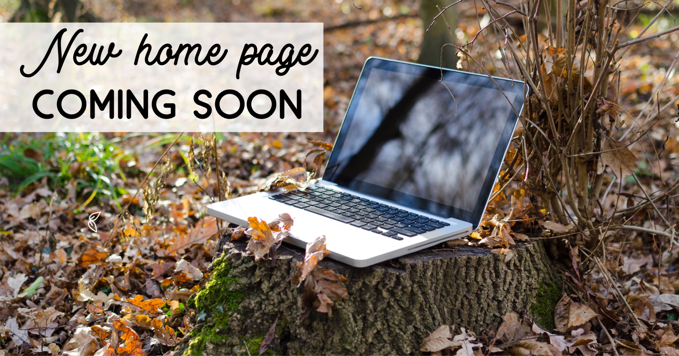 Home page down for construction - there will be a new home page soon!