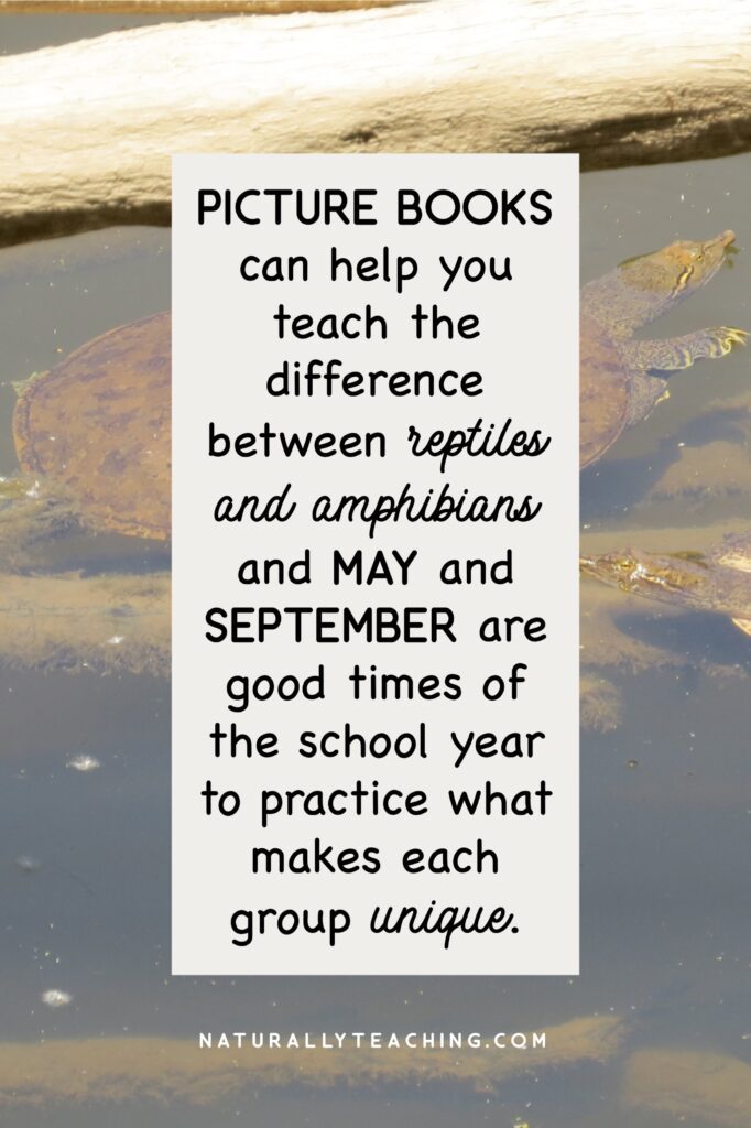 Characteristics of amphibians and reptiles can be learned more easily with the help of picture books.
