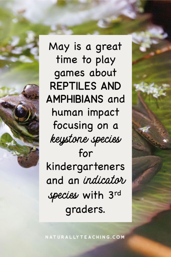 Frogs are an indicator species and can be used to teach children about the health of an ecosystem.