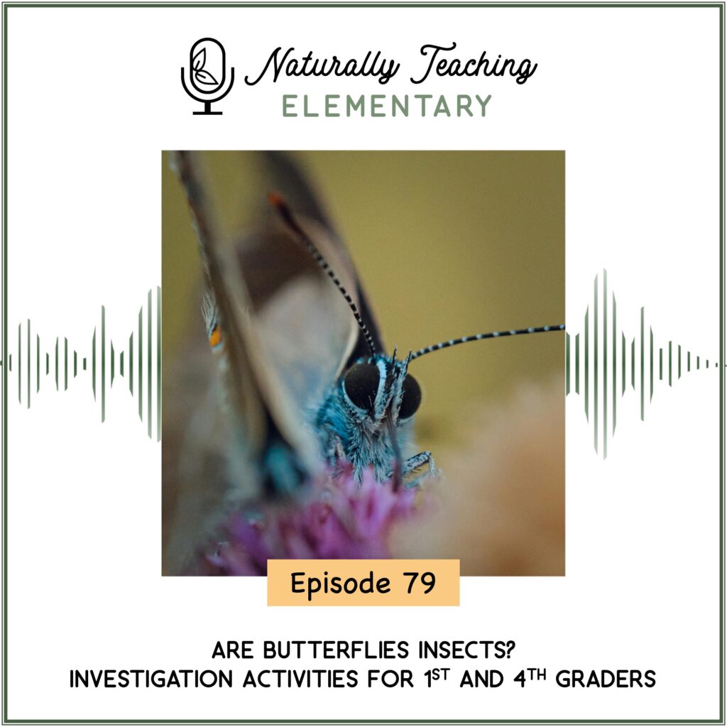 Ep. 79: Are Butterflies Insects? Investigation Activities for 1st and 4th Graders