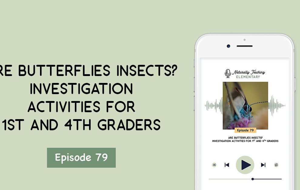 Ep. 79: Are Butterflies Insects? Investigation Activities for 1st and 4th Graders