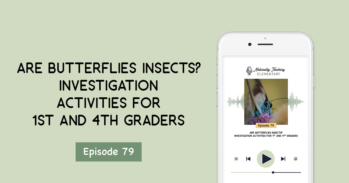 Are Butterflies Insects? Investigation Activities for 1st and 4th Graders [Ep. 79]
