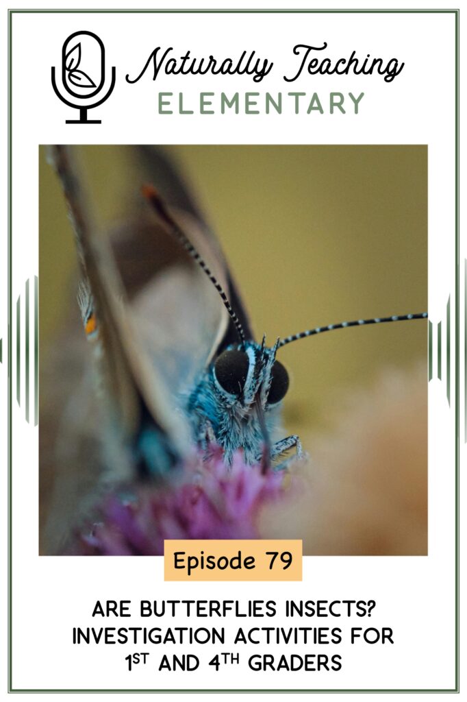 Ep. 79: Are Butterflies Insects? Investigation Activities for 1st and 4th Graders
