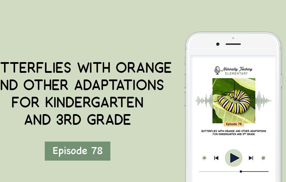78. Butterflies with Orange and Other Adaptations for Kindergarten and 3rd Grade