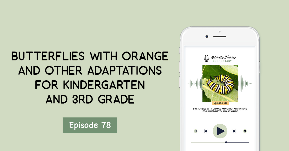 Butterflies with Orange and Other Adaptations for Kindergarten and 3rd Grade [Ep. 78]
