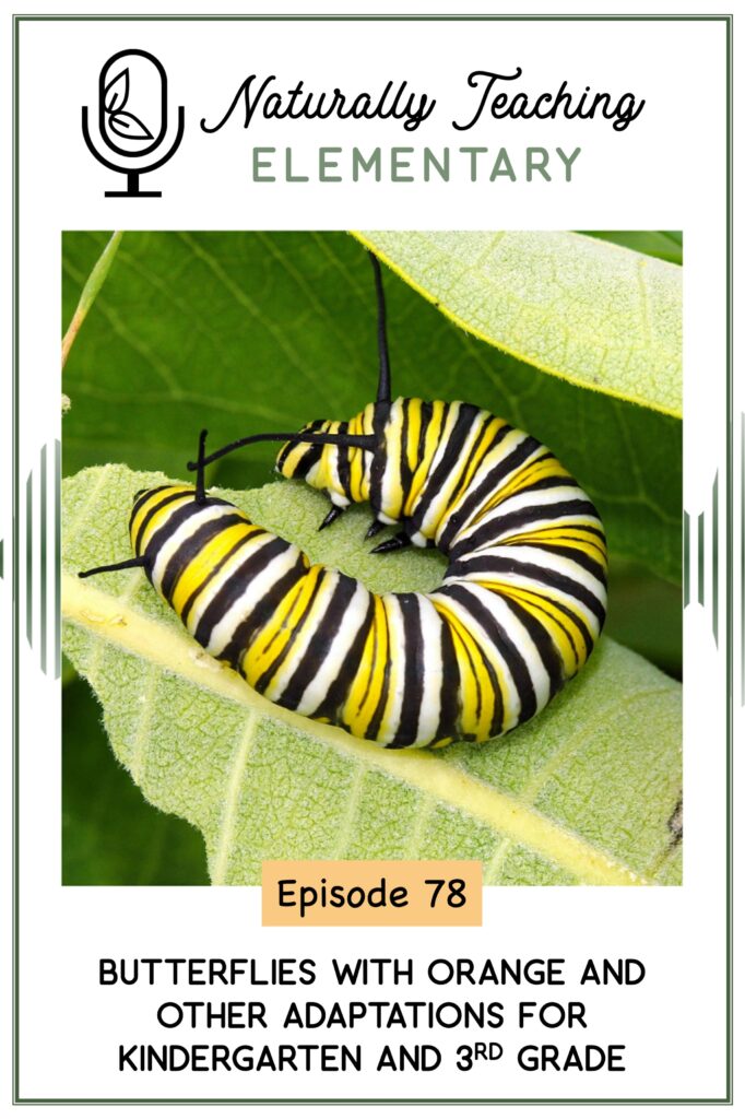 Ep. 78: Butterflies with Orange and Other Adaptations for Kindergarten and 3rd Grade