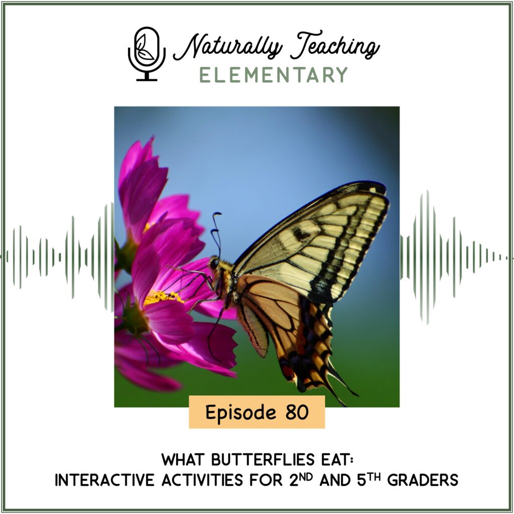 Ep. 80: What Butterflies Eat: Interactive Activities for 2nd and 5th Graders