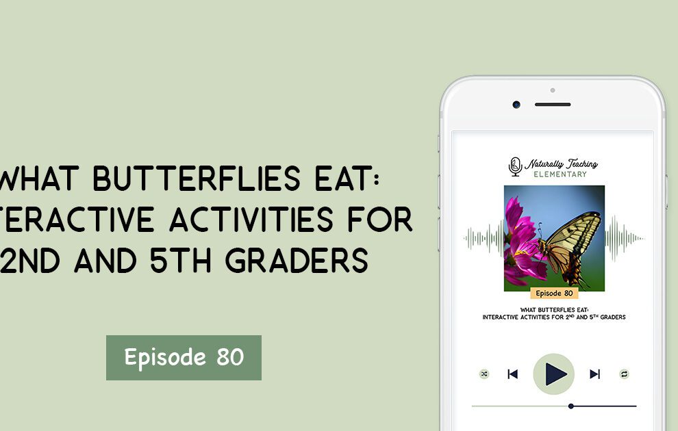 Ep. 80: What Butterflies Eat: Interactive Activities for 2nd and 5th Graders