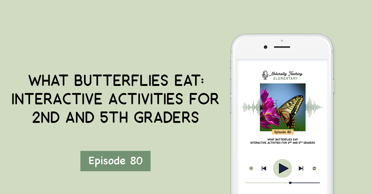 What Butterflies Eat: Interactive Activities for 2nd and 5th Graders [Ep. 80]